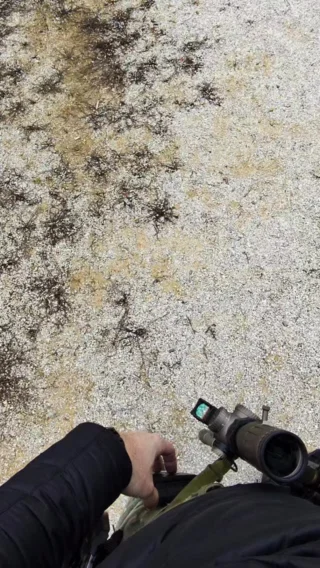 Instagram post from gunzzz_ammo. This post is in position 7.